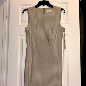 Calvin Klein Professional Midi Dress